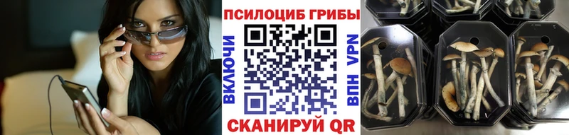 Псилоцибиновые грибы мухоморы  blacksprut   Серов 